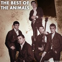 Dimples - The Animals