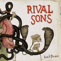 Wild Animal - Rival Sons