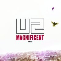 Magnificent - U2, Pete Tong, Paul Rogers