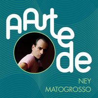 A Cara Do Brasil - Ney Matogrosso