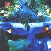 And Then I Read A Book - The Associates