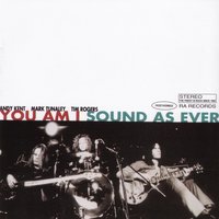 You Scare Me - You Am I