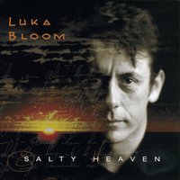 Rainbow Warrior - Luka Bloom