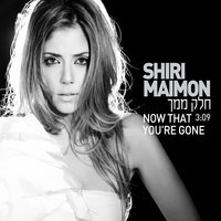 Now That You're Gone - Shiri Maimon