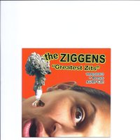 Something About A Waitress - The Ziggens