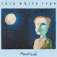 Wire Animals - Thin White Rope