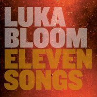 I'm On Your Side - Luka Bloom