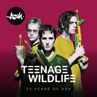 Teenage Wildlife - Ash