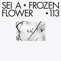 Frozen Flower - Sei A
