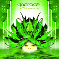 Androcell