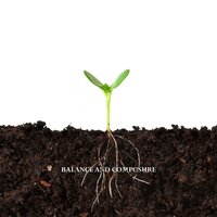 Kaleidoscope - Balance and Composure