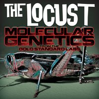 Ass Gravity - The Locust