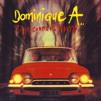 Un mauvais ami - Dominique A