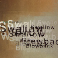 Oceans and Blue Skies - Swallow