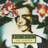 Diamond Age - Blue Orchids