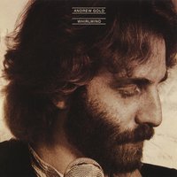 Stranded on the Edge - Andrew Gold