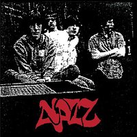 Under the Ice - Nazz
