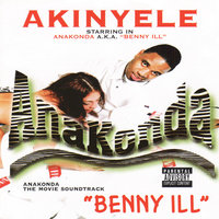 Do You Wanna? - Akinyele