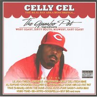 Luv It Man - Celly Cel, Fat Pat, Billy Cook