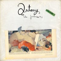 Salt Silver Oxygen - Antony & The Johnsons