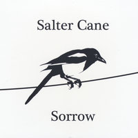 Cut It Down - Salter Cane