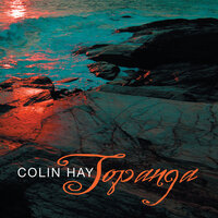 Against The Tide - Colin Hay