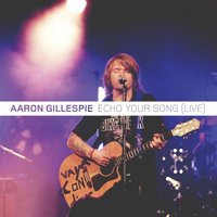 Came to My Rescue - Aaron Gillespie