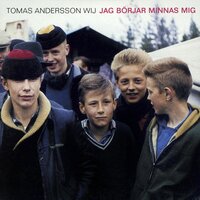 Jag börjar minnas mig - Tomas Andersson Wij