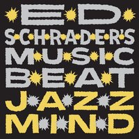 My Mind Is Broken - Ed Schrader's Music Beat