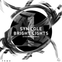 Bright Lights - Syn Cole, Steerner