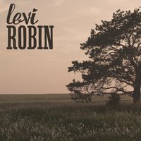 Mighty Waters - Levi Robin