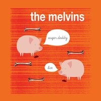 Boris - Melvins