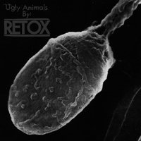 Piss Elegant - Retox