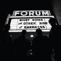 Paranoid Times - Night Birds