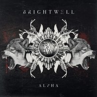 Scripts - Brightwell