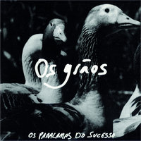 Os Grãos - Os Paralamas Do Sucesso