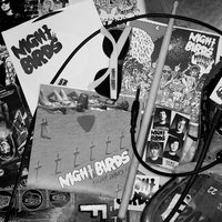 Midnight Movies - Night Birds