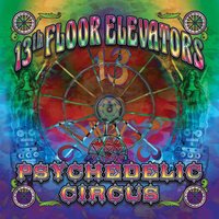 She Lives In A Time Of Her Own - The 13th Floor Elevators