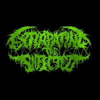 Reborn in Putrefaction - Extirpating the Infected