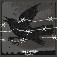 No Day So Long (No Night So Dark) - Young and Heartless