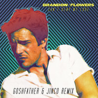 Can't Deny My Love - Brandon Flowers, Goshfather, Jinco