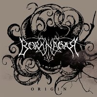 Cynosure - Borknagar