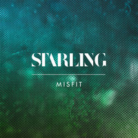 Misfit - Starling