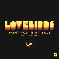 Want You In My Soul - Lovebirds, Stee Downes, Shiba San
