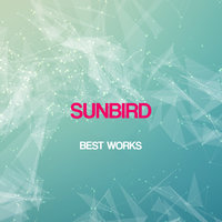 They Accept Paradise - Sunbird, Eximinds