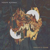 David's Song - Poppy Ajudha