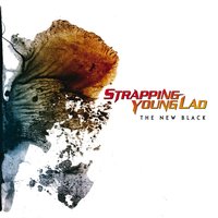 The New Black - Strapping Young Lad