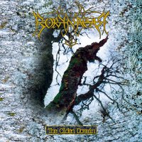 The Winterway - Borknagar