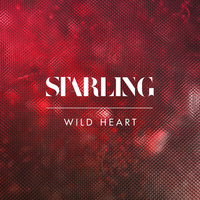 Wild Heart - Starling