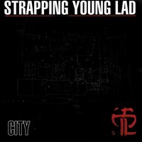 Detox - Strapping Young Lad